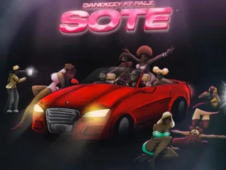 DanDizzy – Sote ft. Falz