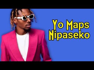 Yo Maps – Nipaseko Yoyo