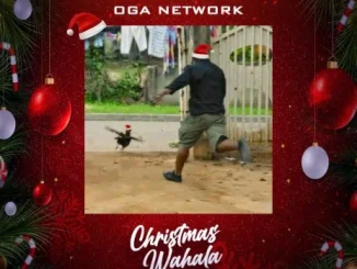 Oga Network – Christmas Wahala