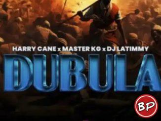 Harry Cane, Master KG & Dj LaTimmy – Dubula