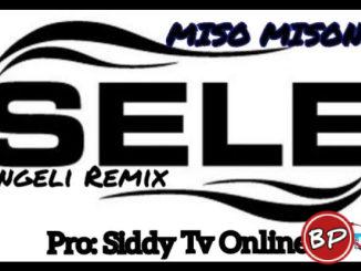 Miso Misondo – Sele