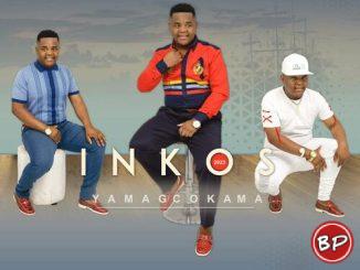 Inkosi Yamagcokama – SHANDIS