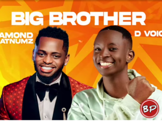 D voice Ft Diamond Platnumz – Big Brother