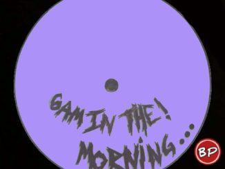 Flex (UK) – 6 In the Morning (Belters Only Remix)