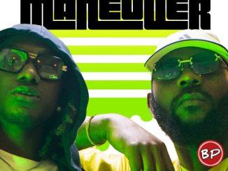 Gnewzy – Maneuver