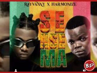 Rayvanny feat Harmonize – Sensemaofficial audio