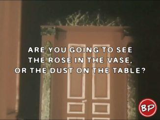 $UICIDEBOY$ – ARE YOU GOING TO SEE THE ROSE IN THE VASE, OR THE DUST ON THE TABLE?