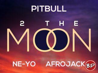 Pitbull x Ne – Yo x Afrojack DJ Buddha