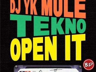 Dj Yk Mule – Open It