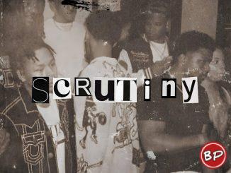 CEO Trayle – Scrutiny