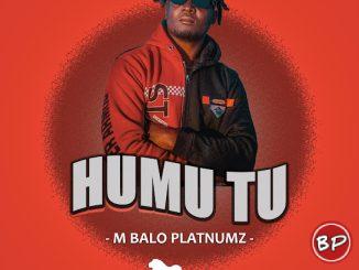 M balo Platnumz – Humu tu