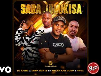 DJ Karri – Saba Julukisa