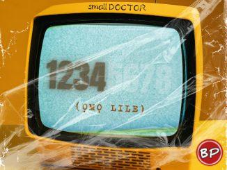 Small Doctor – 1234 (omo Lile)