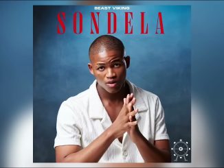 Beast Viking – SONDELA