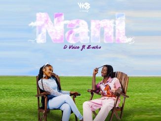 D Voice feat Zuchu – Nani