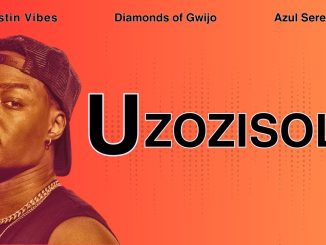 Justin Vibes – Uzozisola You'll Regret It