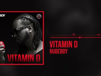 Rudeboy – Vitamin D