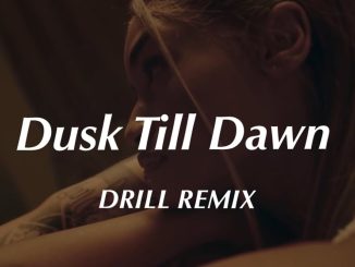 Dusk Till Dawn – ZAYN