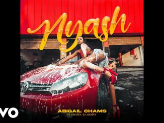 Abigail Chams – Nyash