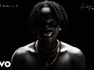 Fireboy DML – jon's interlude