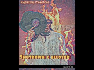 Salthy – Shutdown snippet