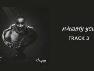 Harrysong – Naughty You