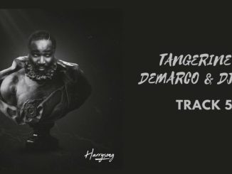 Harrysong – Tangerine