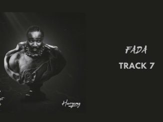 Harrysong – Fada