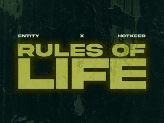 Entity – Rules Of Life