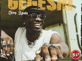 Terry Apala – GEGESHI