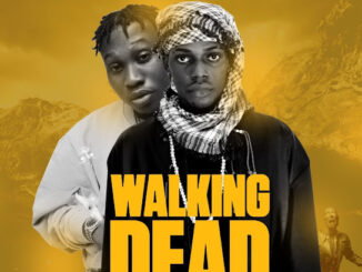 Ayox – Walking Dead