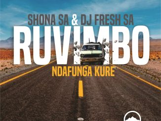 Shona SA – Ndafunga Kure (Radio Edit)