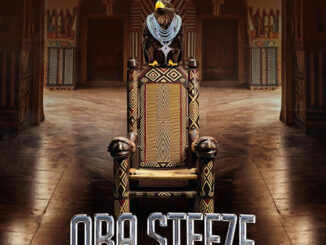 Slimcase – Oba Steeze