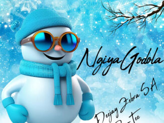 Deejay Zebra SA – Ngiya Godola