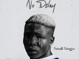 Small Singer – No Delay