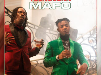 Naira Marley – Mafo