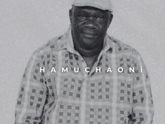 3dotsZimbabwe – Hamuchaoni