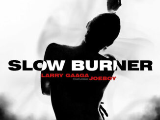 Larry Gaaga – Slow Burner