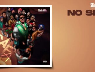 Shatta Wale – NO SIZE