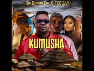 Mr Brown Entertainment – Mr Brown Ent. x Tee Jay   Kumusha Ft  Makhadzi Ent & Aymos (Official Auido)