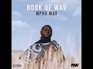 14. Mpho.Wav – Ubuhle