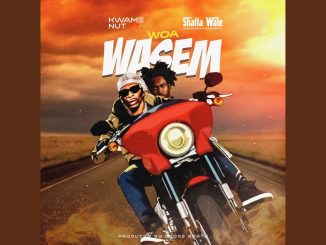 Kwame Nut - Topic – Woa Wasem