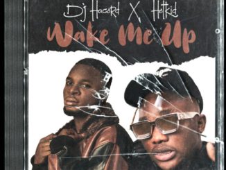 Dj Hacord – Wake Me Up