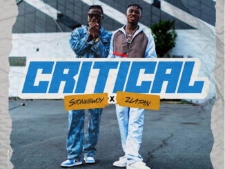 Stonebwoy – Critical