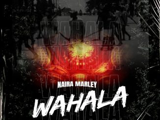 Naira Marley – Wahala