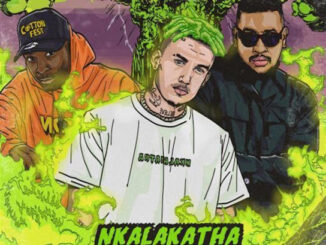 Costa Titch – Nkalakatha (Remix)