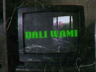 Teemza – Dali Wami