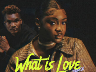 Djy Wagner Musiq – What Is Love (Remix)