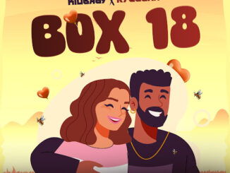 Kidbaby – Box 18