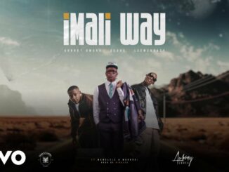 Aubrey Qwana – Imali Way Visualizer